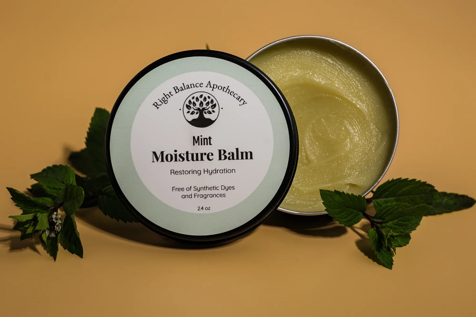 Mint Moisture Balm tin, open, with fresh mint leaves