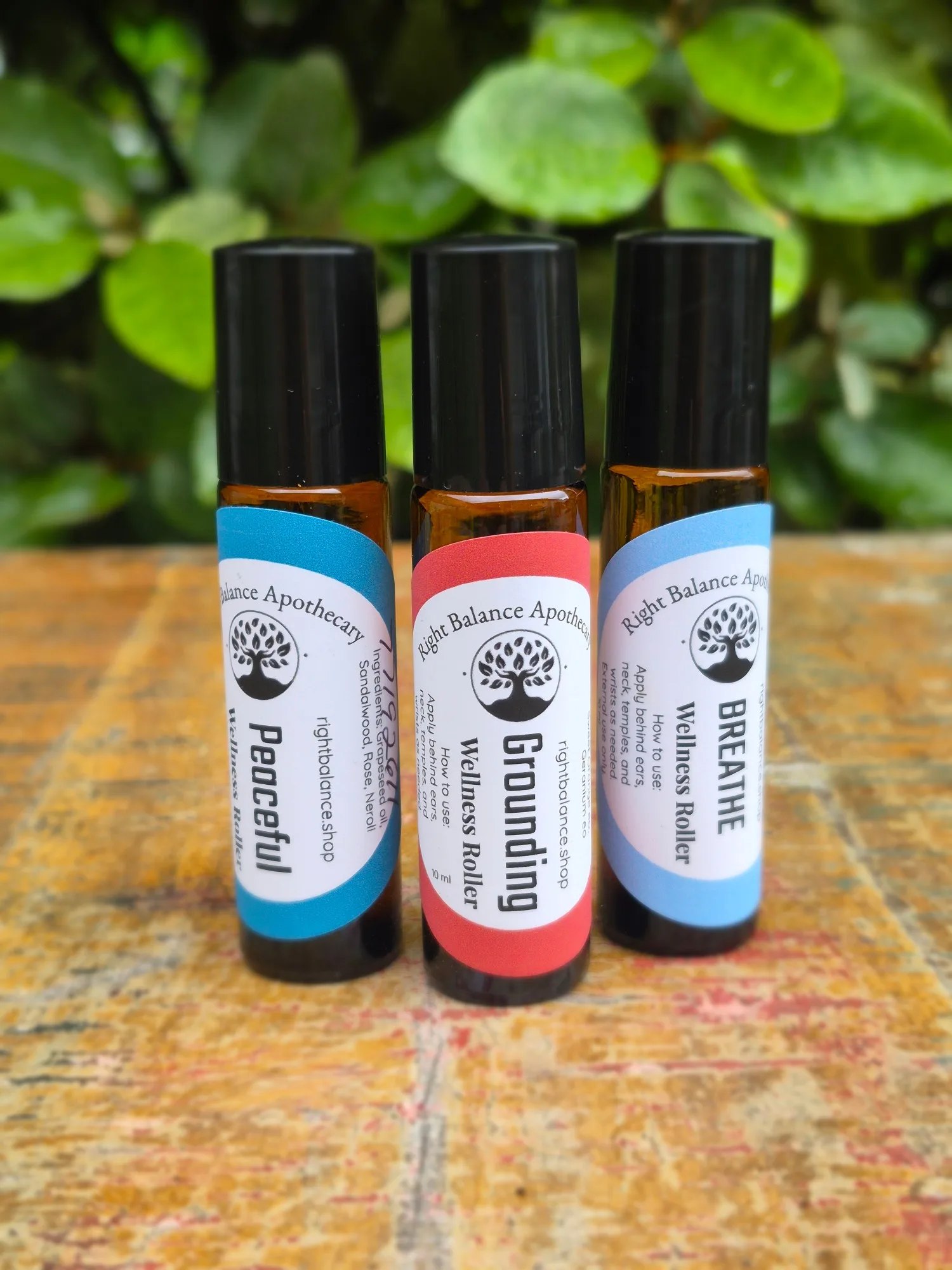 Wellness Roller